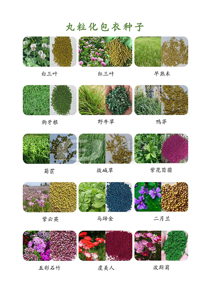 種子丸?；庸?>
            <div   id=
