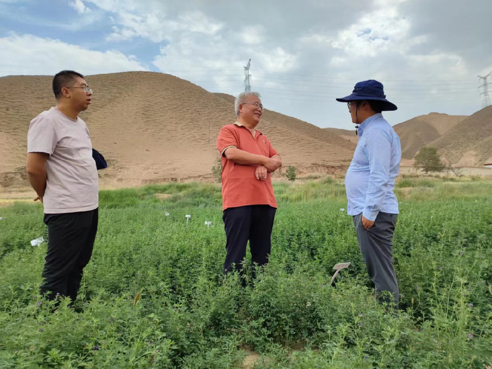 三杰牧草（楊凌）研究院院長陳海濤博士和金昌三杰牧草有限公司副總經(jīng)理史小強蒞臨我公司蘭州飼草牧草制種試驗站考察調(diào)研